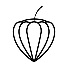 fig fruit icon, line style