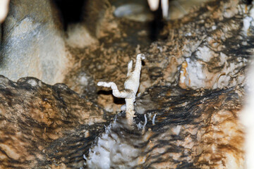 PETAR - Alto Ribeira Tourist State Park. Internal images of caves, with geological formations of water dripping from the ceiling, forming stalactites and stalagmites formed on the floor. 