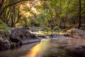 Lake inside the forest in Fragas de São Simão
