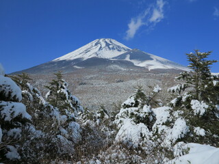 腰切塚展望台からの冬の富士山