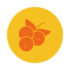 berries icon image, block style