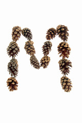 A to Z letters made from pine cones, alpha numeric set, unusual, inventive, individual letters on a...