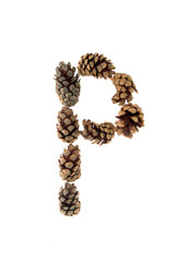 A to Z letters made from pine cones, alpha numeric set, unusual, inventive, individual letters on a white background, font type or font face, relates to nature, trees, outdoors, fun, season. alpine,.