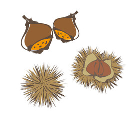 秋の味覚・栗拾い