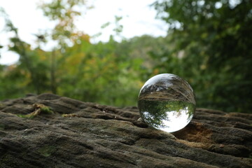 Crystal Ball Photography in woods and forest