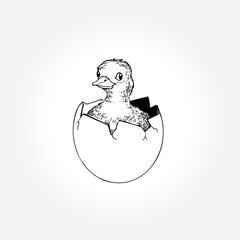 hatched chicken icon vector
