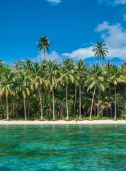 Palm trees along the beach of a tropical island