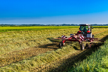 トラクターによる稲飼料用米集草作業