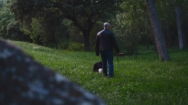 Boy playing with his cute border collie dog in a beautiful green field full of trees, grass and nature