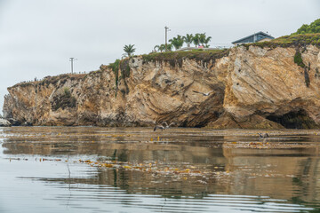 Rocky cliffs at Shell Beach, California