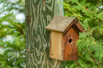 Bird house on a power pole summer scene landscape