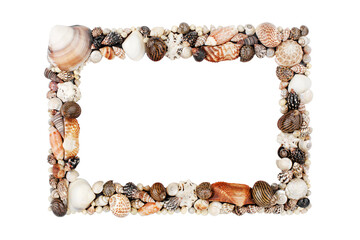 Seashells pattern empty frame on white background isolated close up, blank sea shells border,...
