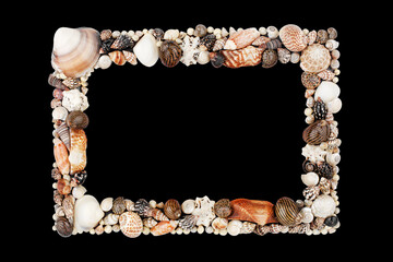 Seashells pattern empty frame on black background isolated close up, blank sea shells border,...