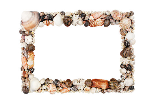 Seashells pattern empty frame on white background isolated close up, blank sea shells border, summer beach holidays concept, tropical ocean island vacation backdrop, tourist travel banner, copy space
