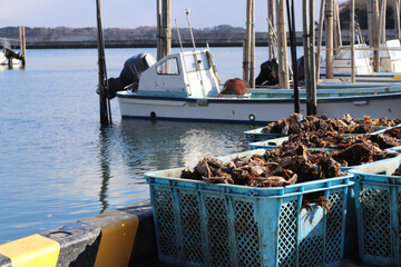 山盛りの牡蠣と漁船