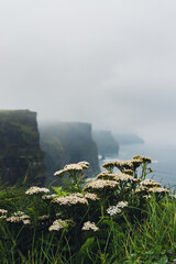 The immensity of Cliff's of Moher, there are moments that make you feel insignificant to such an imposing landscape in the Republic of Ireland
