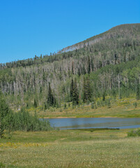 The peaceful Freeman Reservoir  below the mountainside of the Routt National Forests. In the Rocky mountains of Colorado