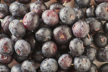 Fresh blueberry background. Texture blueberry berries close up