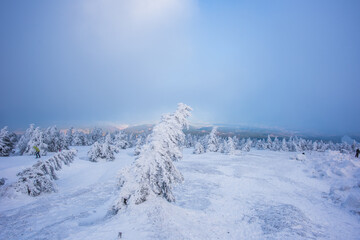 Winterlandschaft