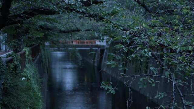 Meguro River, Nakameguro, Tokyo, Japan
