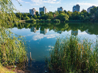 A lake shore with growing reeds with a reflection of the sky in the water and tall buildings in the distance on a sunny summer day.