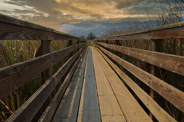 Fototapeta na wymiar Martinez CA Regional Shoreline Park bridges and walkways