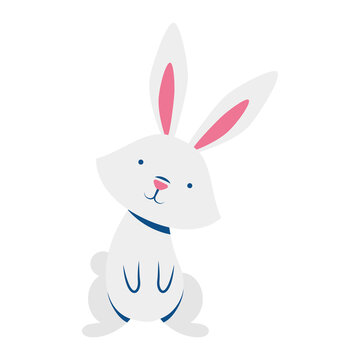 cute easter little rabbit standing pose character