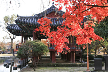 Obraz premium Maple Tree Traditional Korean Pavilion