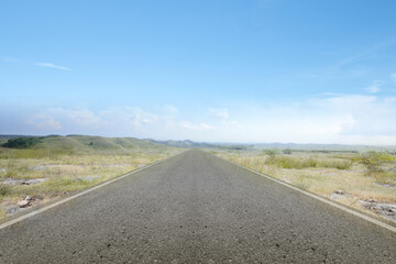 Fototapeta premium Asphalt road with green grass
