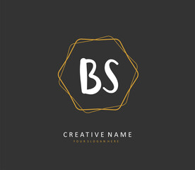 B S BS Initial letter handwriting and signature logo. A concept handwriting initial logo with template element.