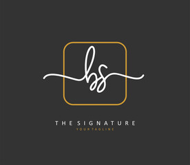 B S BS Initial letter handwriting and signature logo. A concept handwriting initial logo with template element.