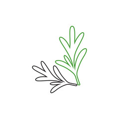 rosemary leaf vector logo illustration template