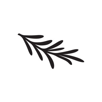 rosemary leaf vector logo illustration template