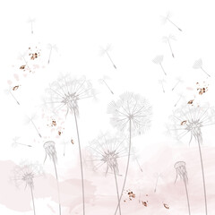 Dandelion vector illustration, rustic minimalist style, dreaming morning scene, soft pink, white clean background