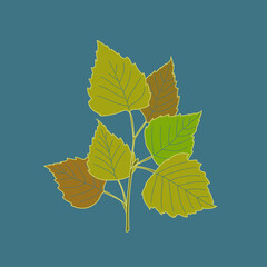 birch branch with leaves, vector illustration