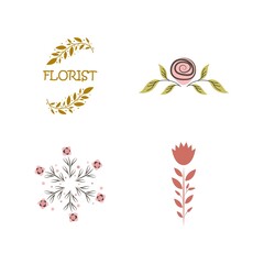 Florist botanical flower