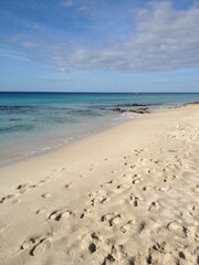 Fototapeta na wymiar footprints on the beach western australia