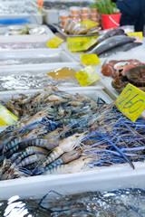 Fresh river shrimp in seafood market 