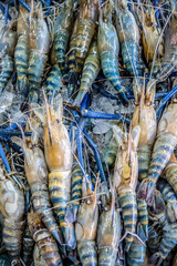 Fresh river shrimp in seafood market 