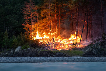 Intense flames from a massive forest fire at night. The flames light up at night as they rage...