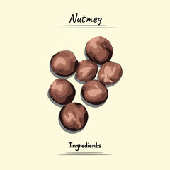 Nutmeg Illustration. Ingredients For food element. Sketch and Vector Style. food element, plant, and ingredients concept.