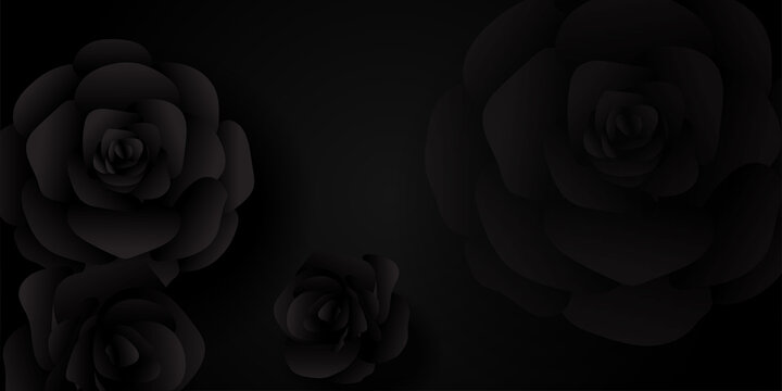 Black rose background vector illustration