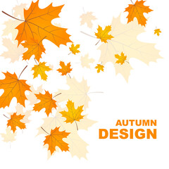 Abstract autumn background with yellow leaves of maple. Vector illustration with withered foliage.