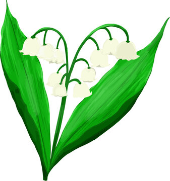 鈴蘭 Images Browse 954 Stock Photos Vectors And Video Adobe Stock