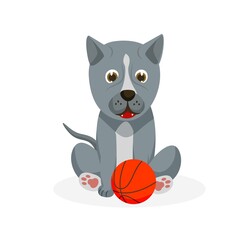 Pit bull puppy. Isolated playful purebred pit bull dog puppy icon. Cute doggy pet animal cartoon character sitting and playing with toy ball