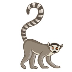 Ring-tailed lemur. Isolated wild ape with long striped tail. Cute primate mammal cartoon character icon. Vector wildlife exotic ring-tailed lemur monkey animal