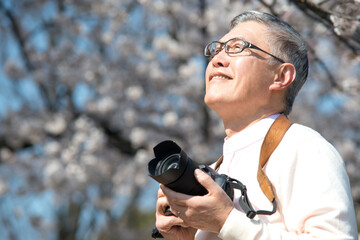 桜の写真を撮るシニア男性