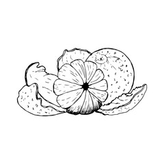 set with tangerines isolated on a white background.