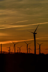 Obraz premium Silhouette of Windmills at dusk in Palm Springs, California, USA.