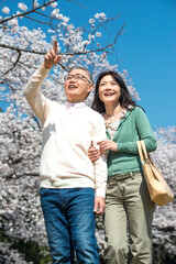 花見をするミドル夫婦